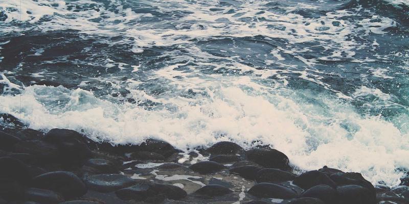 从进口食品到跨境时尚家居：碳足迹标签如何成为赢得欧洲绿色消费者的新“正品保障”