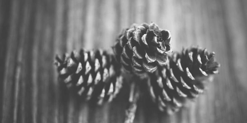 海外直邮家居用品必读：跨境电商VAT、GST与进口关税合规全攻略