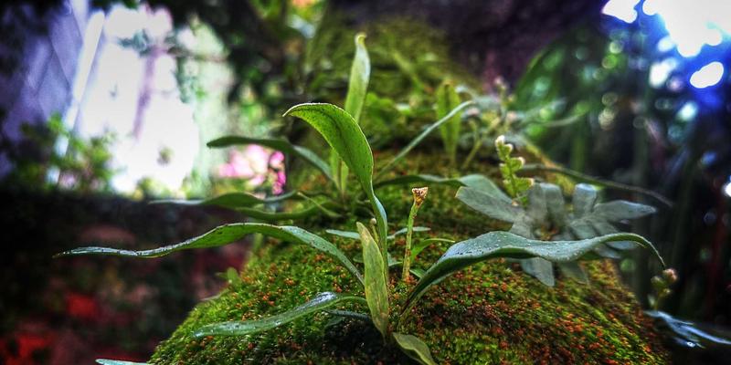 破解资金困局：跨境电商供应链金融如何为进口食品、母婴卖家注入“源头活水”？