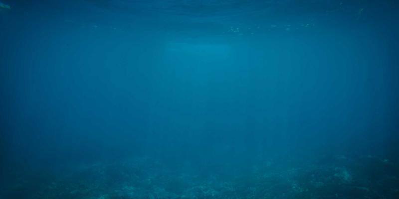 跨境电商税务合规新挑战：进口食品与母婴用品如何应对美国各州销售税（SST）变革