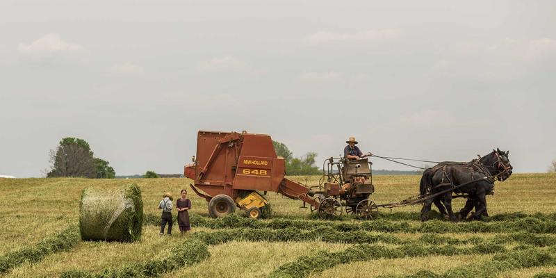 跨境电商选品破局：用数据工具在母婴、美妆、进口食品中掘金蓝海